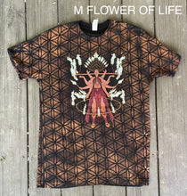 Load image into Gallery viewer, Flow Collab Tshirt w/ Lost Lion Art